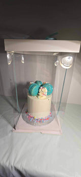 FUNFETTI  MINI CAKE