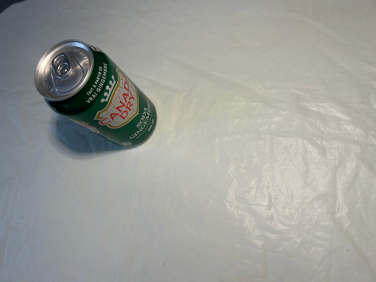 CANADA DRY GINGER ALE